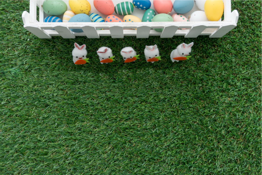 How to Choose the Right Grass