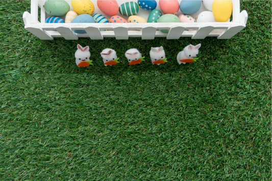 How to Choose the Right Grass